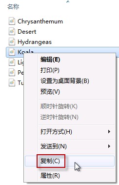 恢復(fù)刪除文件